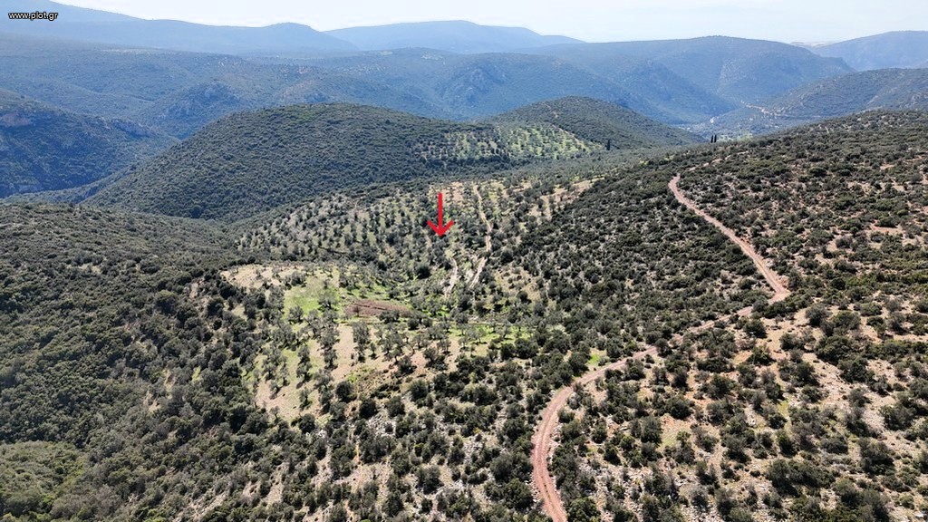 Αγροτεμάχια 42.233 τ.μ. προς πώληση, Χάνι Μερκούρη