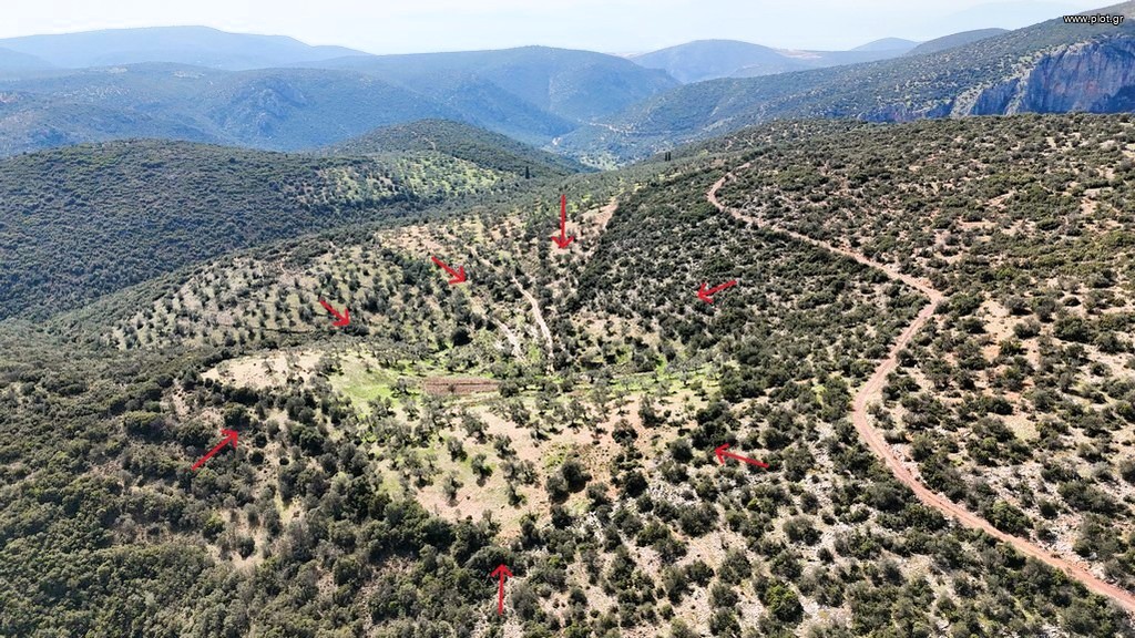 Αγροτεμάχια 42.233 τ.μ. προς πώληση, Χάνι Μερκούρη