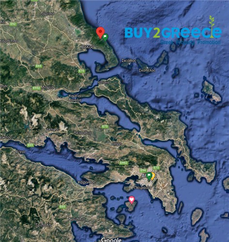 Αγροτεμάχια 7.454 τ.μ. προς πώληση, Μακρυρράχη Ζαγοράς