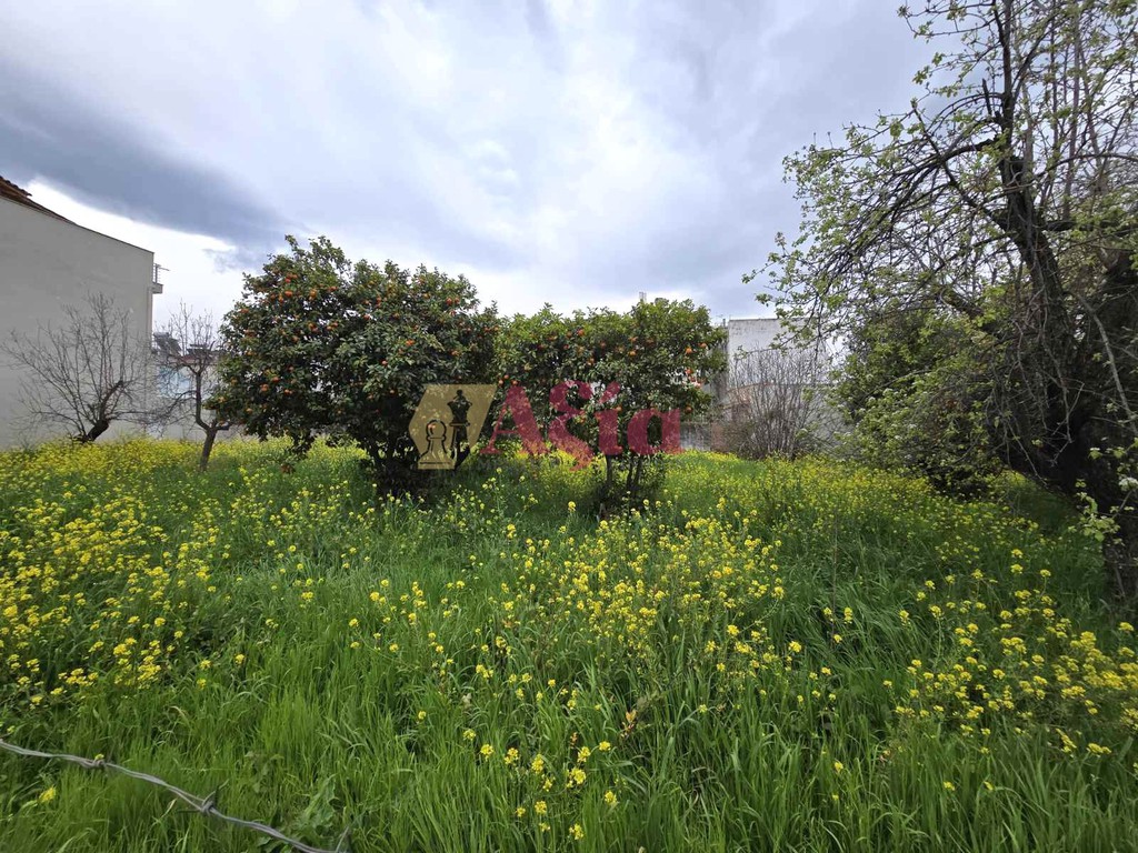 Οικόπεδο 1.150 τ.μ. προς πώληση, Εγλυκάδα