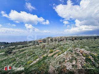 Μονοκατοικία 436 τ.μ. προς πώληση, Νομιτσής-thumb-9