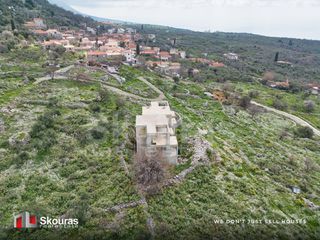 Μονοκατοικία 436 τ.μ. προς πώληση, Νομιτσής-thumb-16