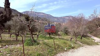 Οικόπεδο 2.550 τ.μ. για πώληση