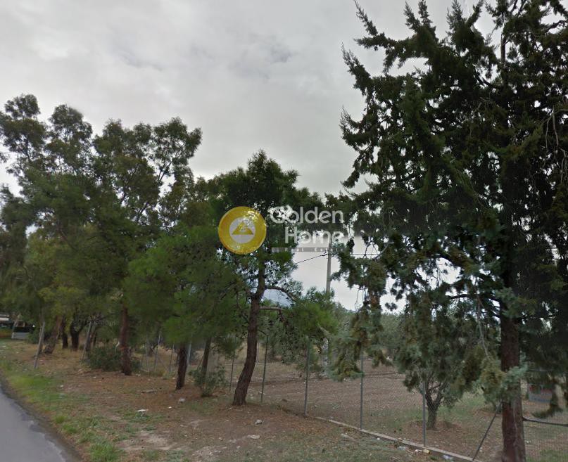 Οικόπεδο 2.500 τ.μ. προς ενοικίαση, Αγία Παρασκευή Αχαρνών