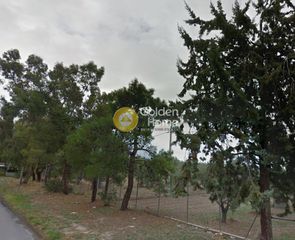 Οικόπεδο 2.500 τ.μ. για ενοικίαση