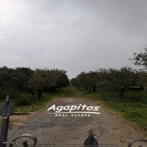 Μονοκατοικία 140 τ.μ. προς πώληση, Νιπιδιτός