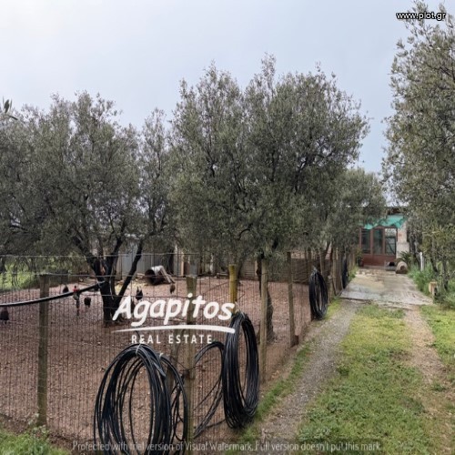 Μονοκατοικία 140 τ.μ. προς πώληση, Νιπιδιτός