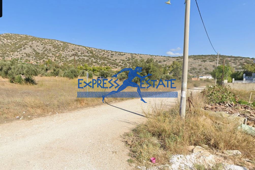 Οικόπεδο 707 τ.μ. πρός πώληση, Αθήνα - Ανατολικά Προάστια, Μαραθώνας