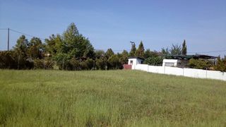 Αγροτεμάχια 600 τ.μ. για πώληση