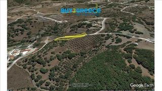 Οικόπεδο 2.184,08 τ.μ. για πώληση, Ν. Ρεθύμνου, Φοινίκας-thumb-7