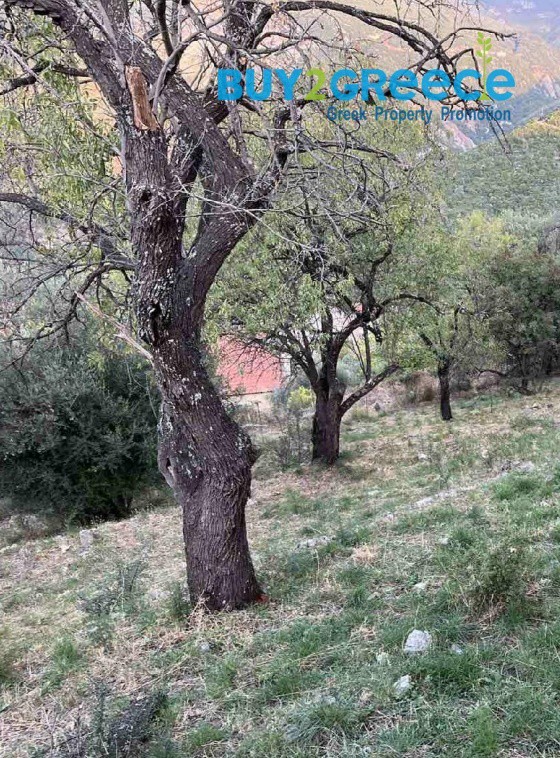Οικόπεδο 807 τ.μ. προς πώληση, Αιτωλοακαρνανία, Ναύπακτος