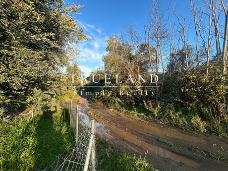 Parcel 1.317 sqm for sale