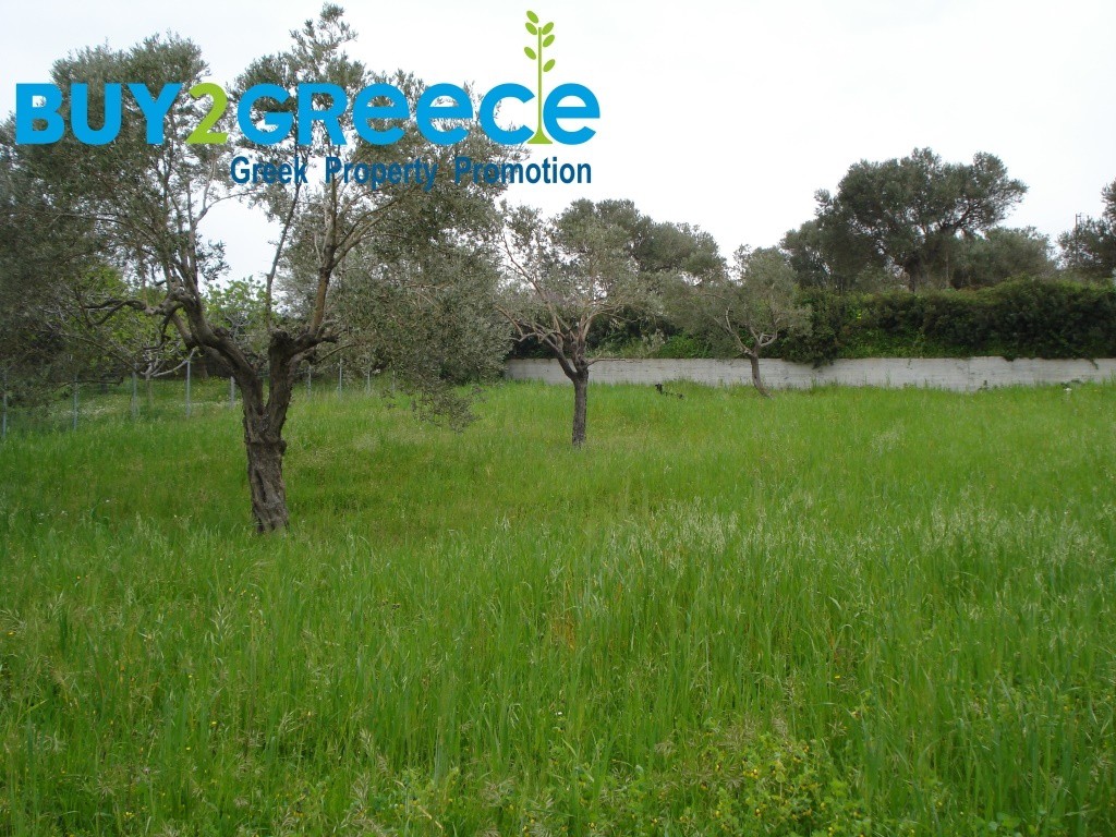 Οικόπεδο 1.041 τ.μ. προς πώληση, Οξύλιθος
