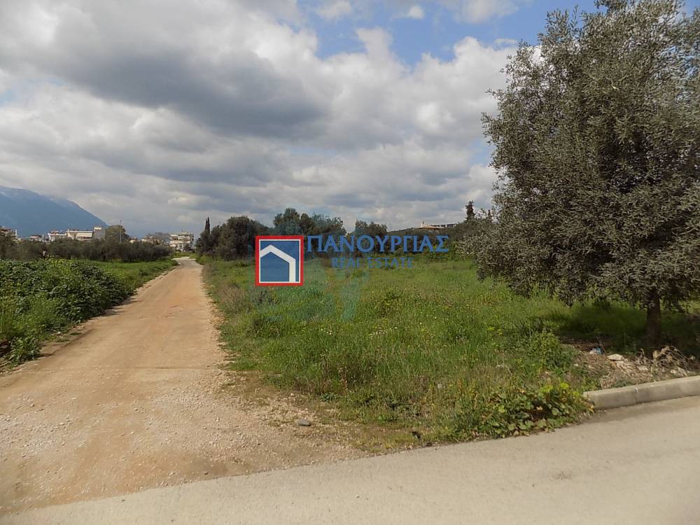 Οικόπεδο 501 τ.μ. προς πώληση, Φθιώτιδας, Λαμία