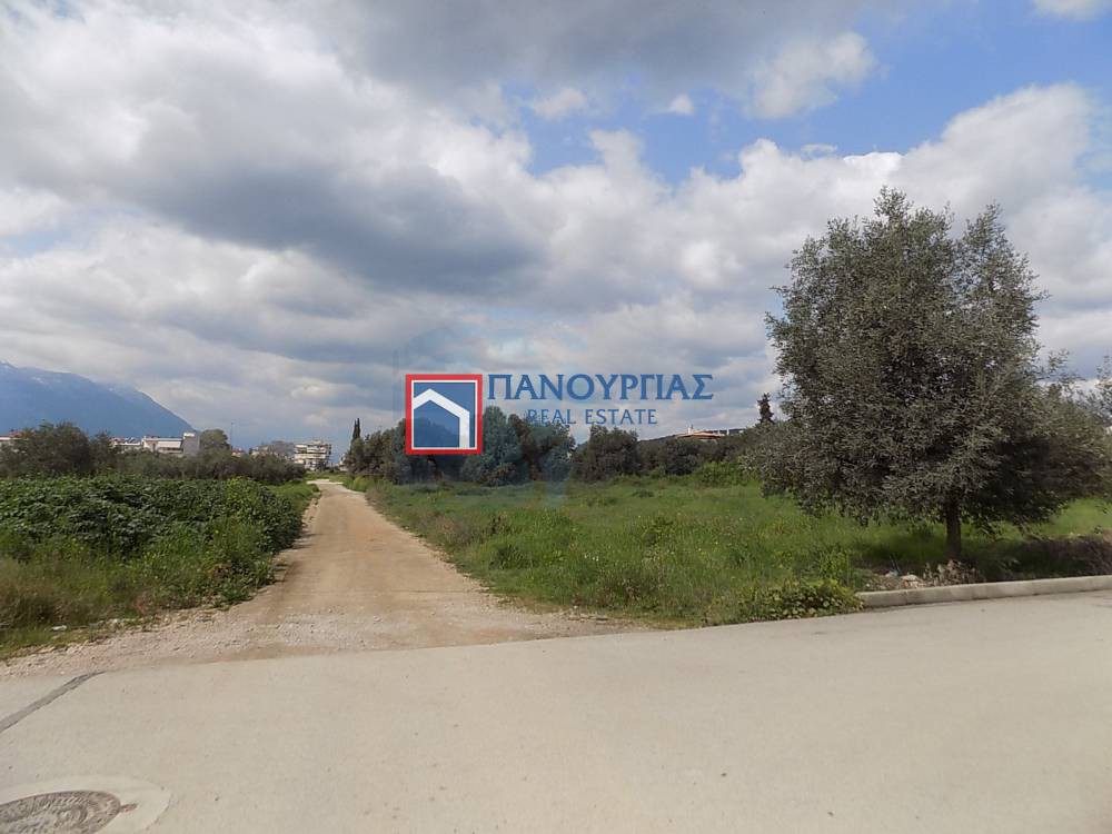 Οικόπεδο 501 τ.μ. προς πώληση, Φθιώτιδας, Λαμία