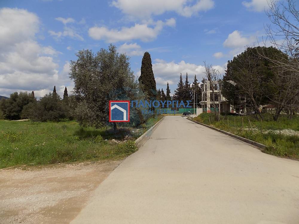 Οικόπεδο 501 τ.μ. προς πώληση, Φθιώτιδας, Λαμία