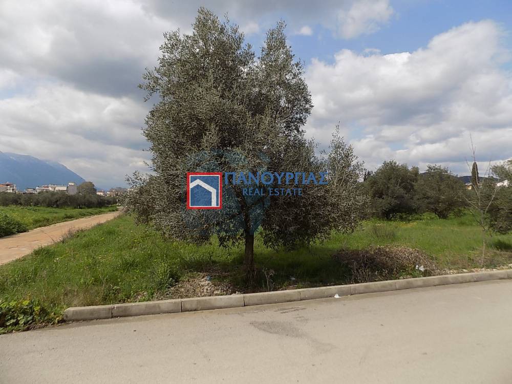 Οικόπεδο 501 τ.μ. προς πώληση, Φθιώτιδας, Λαμία