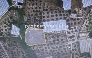 Αγροτεμάχια 3.400 τ.μ. για πώληση
