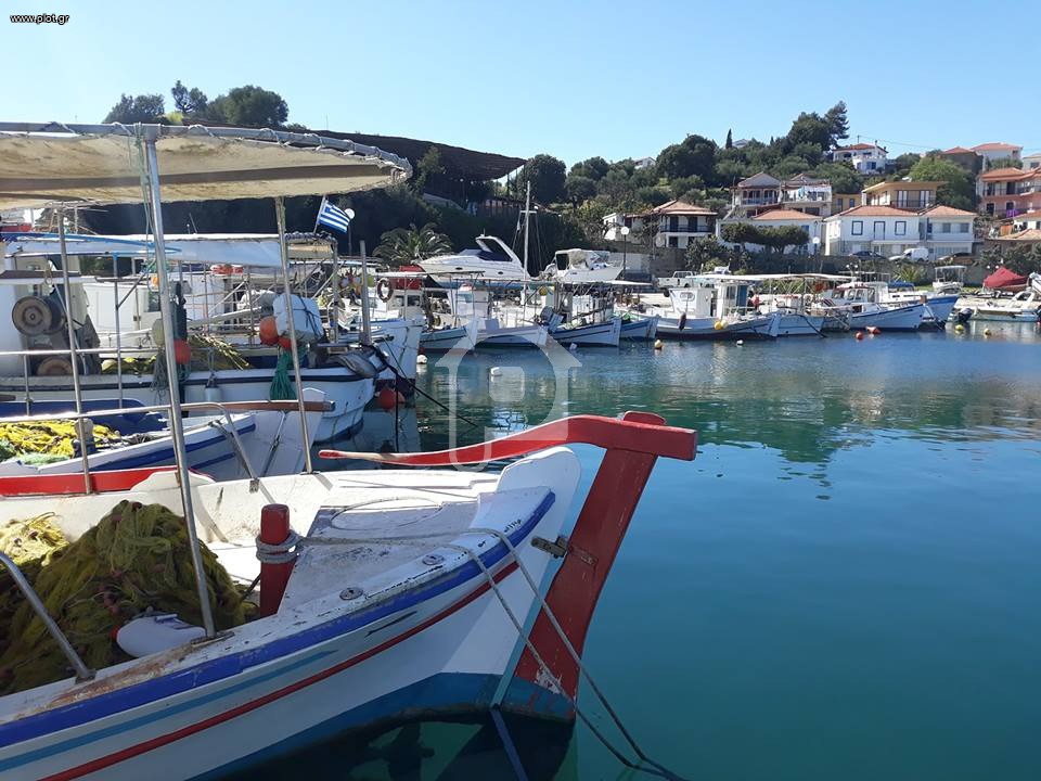Οικόπεδο 4.300 τ.μ. προς πώληση, Φοινικούντας