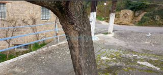 Κατάστημα 110 τ.μ. για πώληση, Αχαΐα, Αιγείρα-thumb-4
