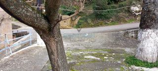 Κατάστημα 110 τ.μ. για πώληση, Αχαΐα, Αιγείρα-thumb-6