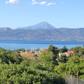 Αγροτεμάχια 281 τ.μ. για πώληση