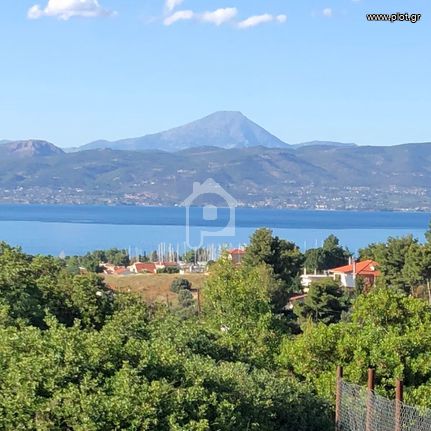 Αγροτεμάχια 281 τ.μ. για πώληση, Αττική - Υπόλοιπο, Ωρωπός
