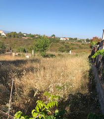 Αγροτεμάχια 281 τ.μ. για πώληση, Αττική - Υπόλοιπο, Ωρωπός-thumb-4
