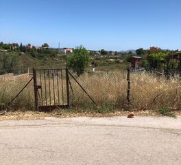 Αγροτεμάχια 281 τ.μ. για πώληση, Αττική - Υπόλοιπο, Ωρωπός-thumb-6
