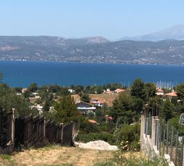 Αγροτεμάχια 281 τ.μ. για πώληση, Αττική - Υπόλοιπο, Ωρωπός-thumb-7