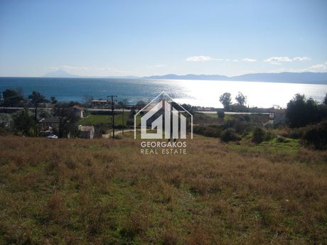 Land plot 6.500 sqm for sale