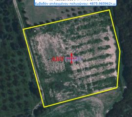 Land plot 5.000 sqm for sale