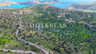 Οικόπεδο 8.833 τ.μ. για πώληση