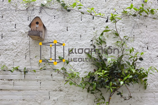Συγκρότημα διαμερισμάτων 78 τ.μ. πρός πώληση, Εβρος, Αλεξανδρούπολη