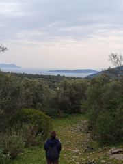 Οικόπεδο 42.900 τ.μ. για πώληση, Ν. Λευκάδας, Λευκάδα-thumb-18