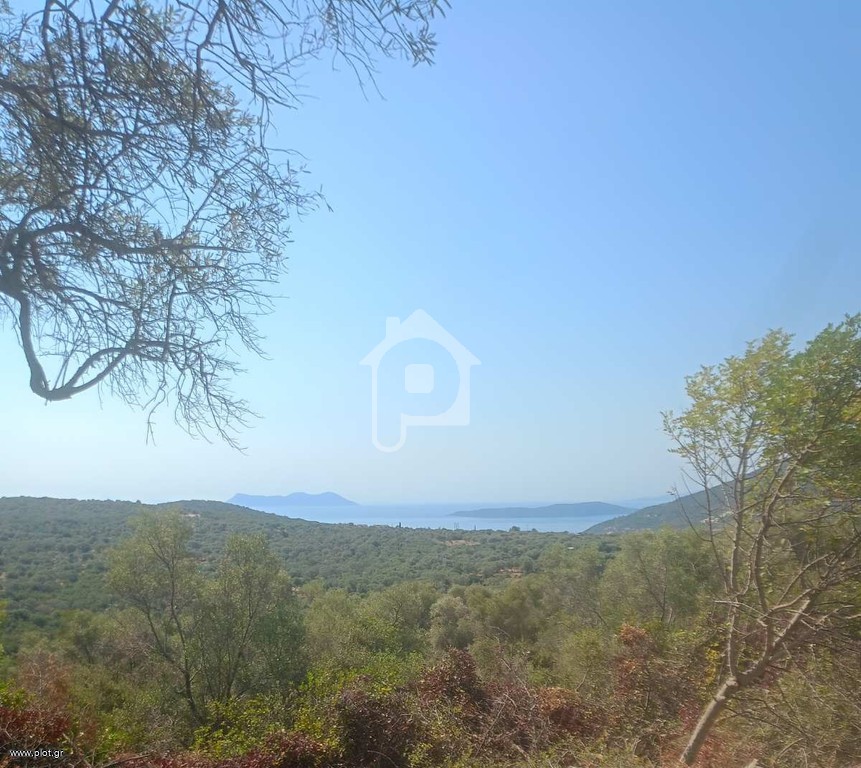 Οικόπεδο 42.900 τ.μ. προς πώληση, Ελλόμενο