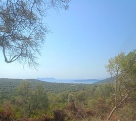 Οικόπεδο 42.900 τ.μ. για πώληση, Ν. Λευκάδας, Λευκάδα-thumb-1