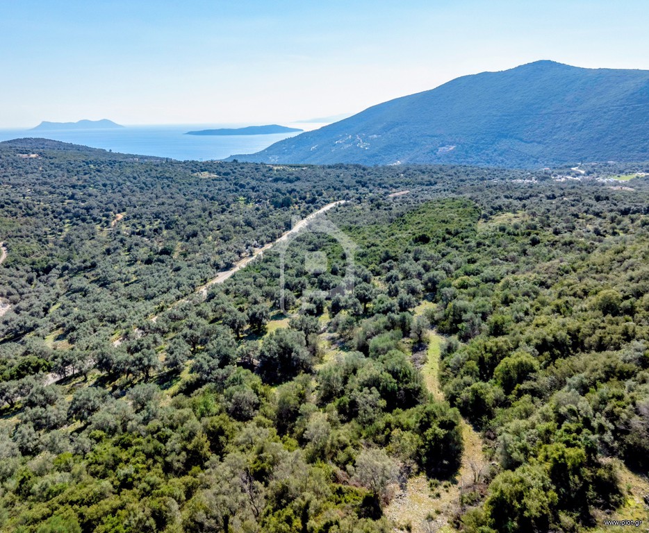 Οικόπεδο 42.900 τ.μ. προς πώληση, Ελλόμενο