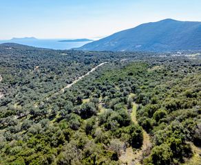 Οικόπεδο 42.900 τ.μ. για πώληση, Ν. Λευκάδας, Λευκάδα-thumb-2