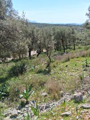 Οικόπεδο 42.900 τ.μ. για πώληση, Ν. Λευκάδας, Λευκάδα-thumb-3
