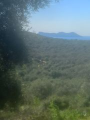 Οικόπεδο 42.900 τ.μ. για πώληση, Ν. Λευκάδας, Λευκάδα-thumb-5