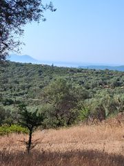 Οικόπεδο 42.900 τ.μ. για πώληση, Ν. Λευκάδας, Λευκάδα-thumb-7