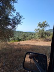 Οικόπεδο 42.900 τ.μ. για πώληση, Ν. Λευκάδας, Λευκάδα-thumb-8