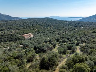 Οικόπεδο 42.900 τ.μ. για πώληση, Ν. Λευκάδας, Λευκάδα-thumb-9