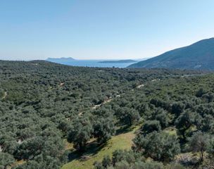 Οικόπεδο 42.900 τ.μ. για πώληση, Ν. Λευκάδας, Λευκάδα-thumb-10
