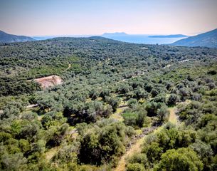 Οικόπεδο 42.900 τ.μ. για πώληση, Ν. Λευκάδας, Λευκάδα-thumb-15