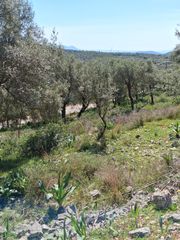 Οικόπεδο 42.900 τ.μ. για πώληση, Ν. Λευκάδας, Λευκάδα-thumb-17