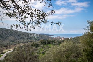 Αγροτεμάχια 1.225 τ.μ. για πώληση