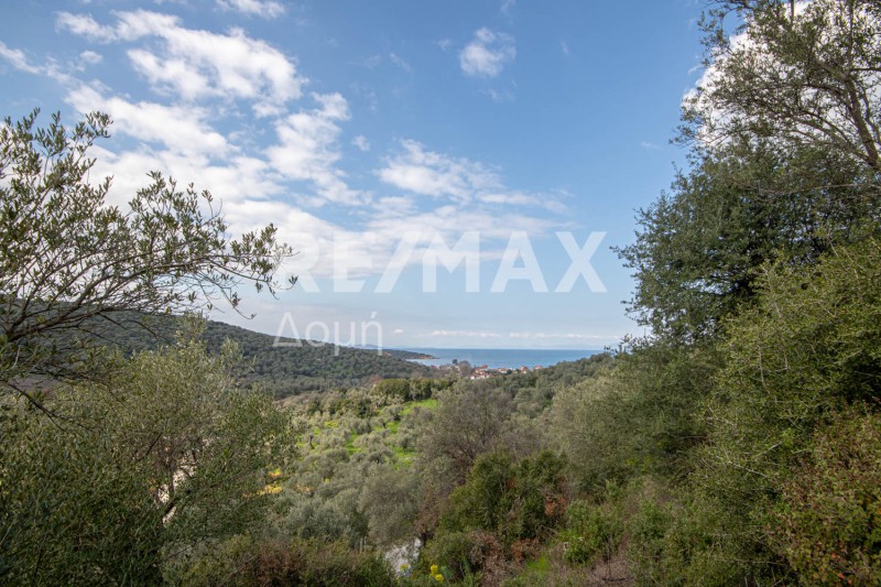 Αγροτεμάχια 1.225 τ.μ. προς πώληση, Μηλίνα