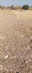 Αγροτεμάχια 50.000 τ.μ. για πώληση
